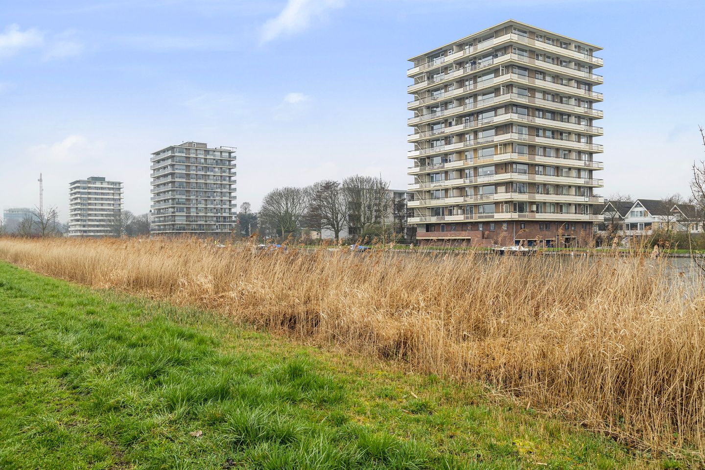 Foto 4 van Jan Steenstraat 98