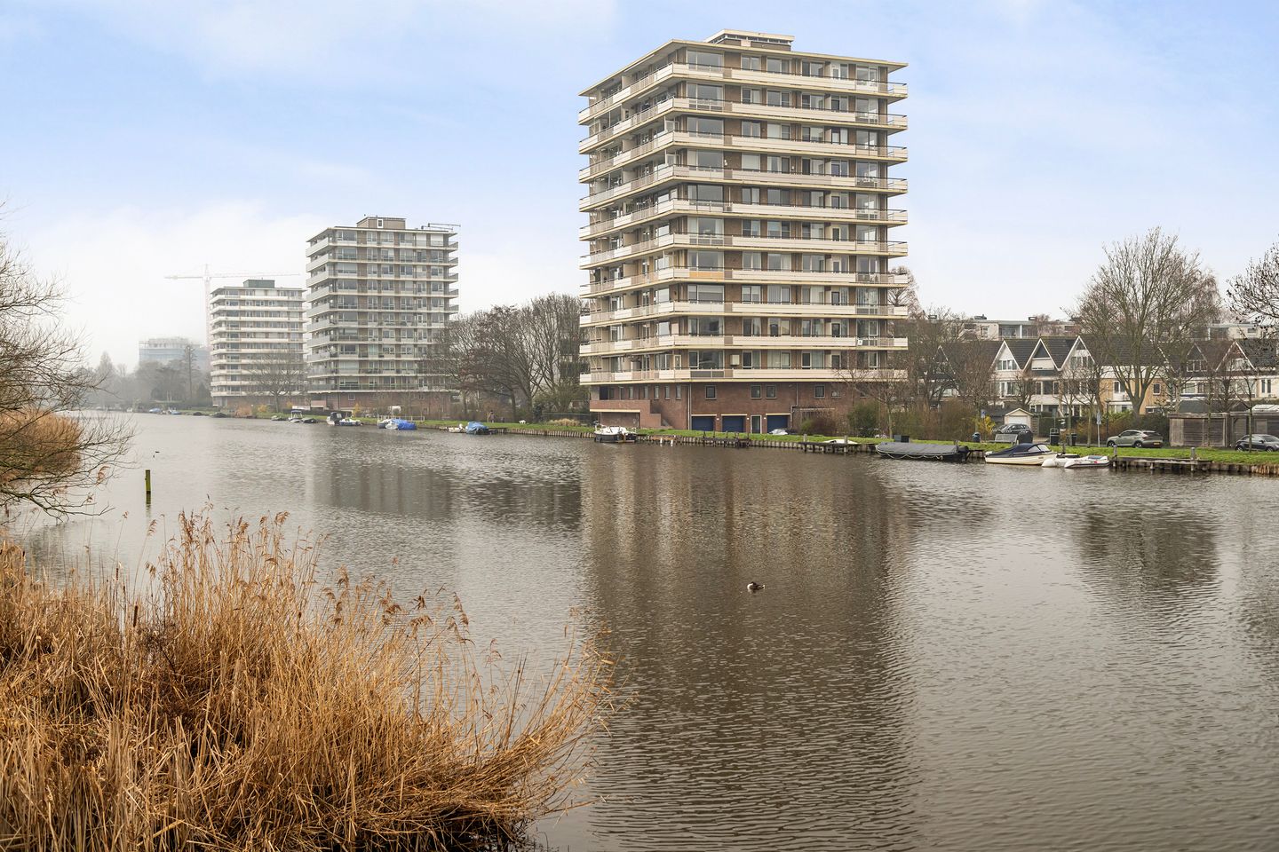 Foto 40 van Jan Steenstraat 98