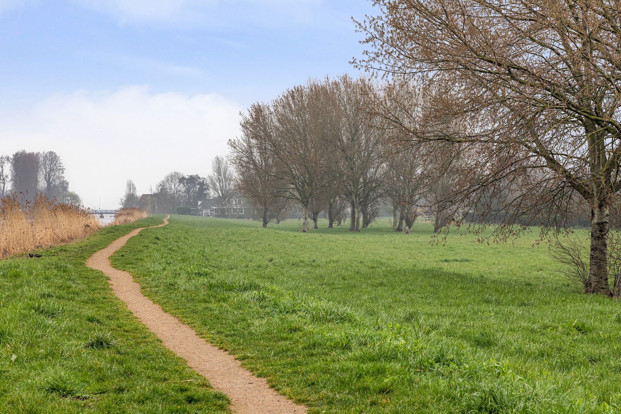 Foto 48 van Jan Steenstraat 98