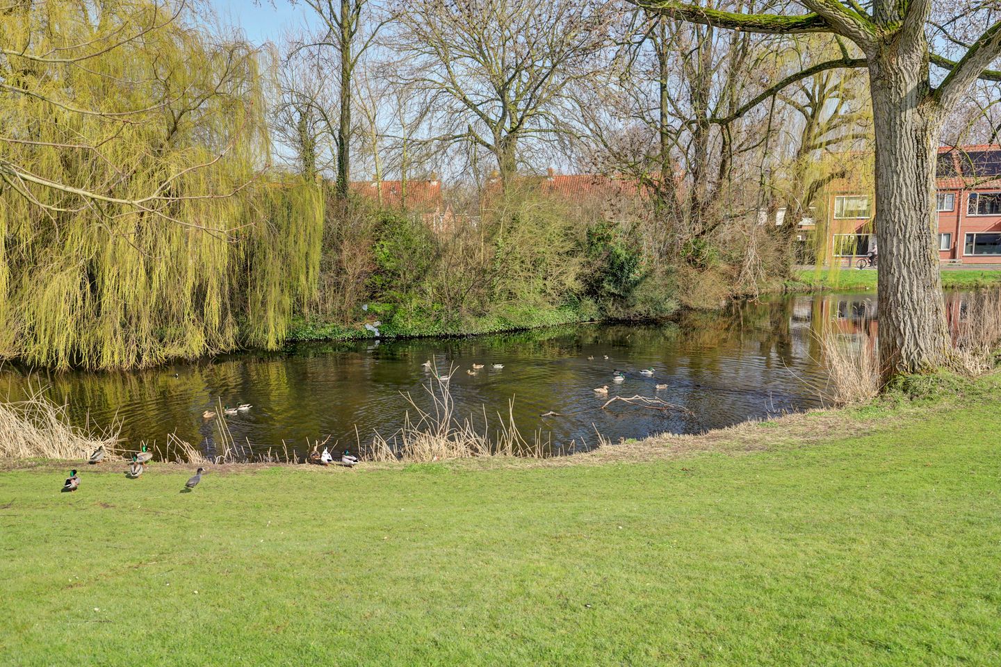 Foto 35 van Gruttolaan 53