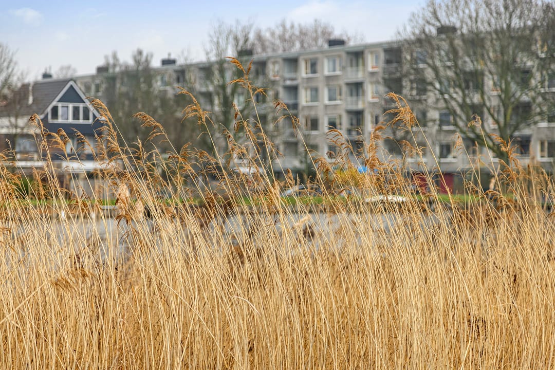 Foto 43 van Jan Steenstraat 98