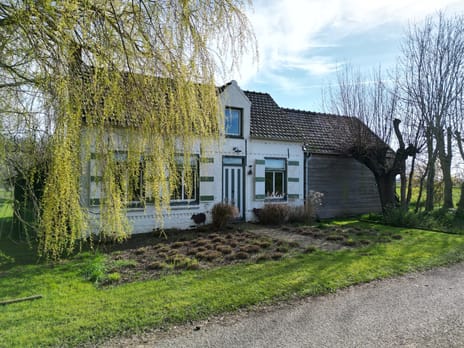 undefined main image