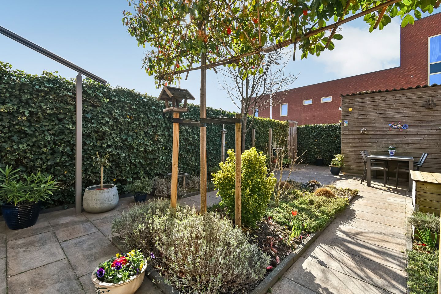 Foto 35 van Buurmeester 14