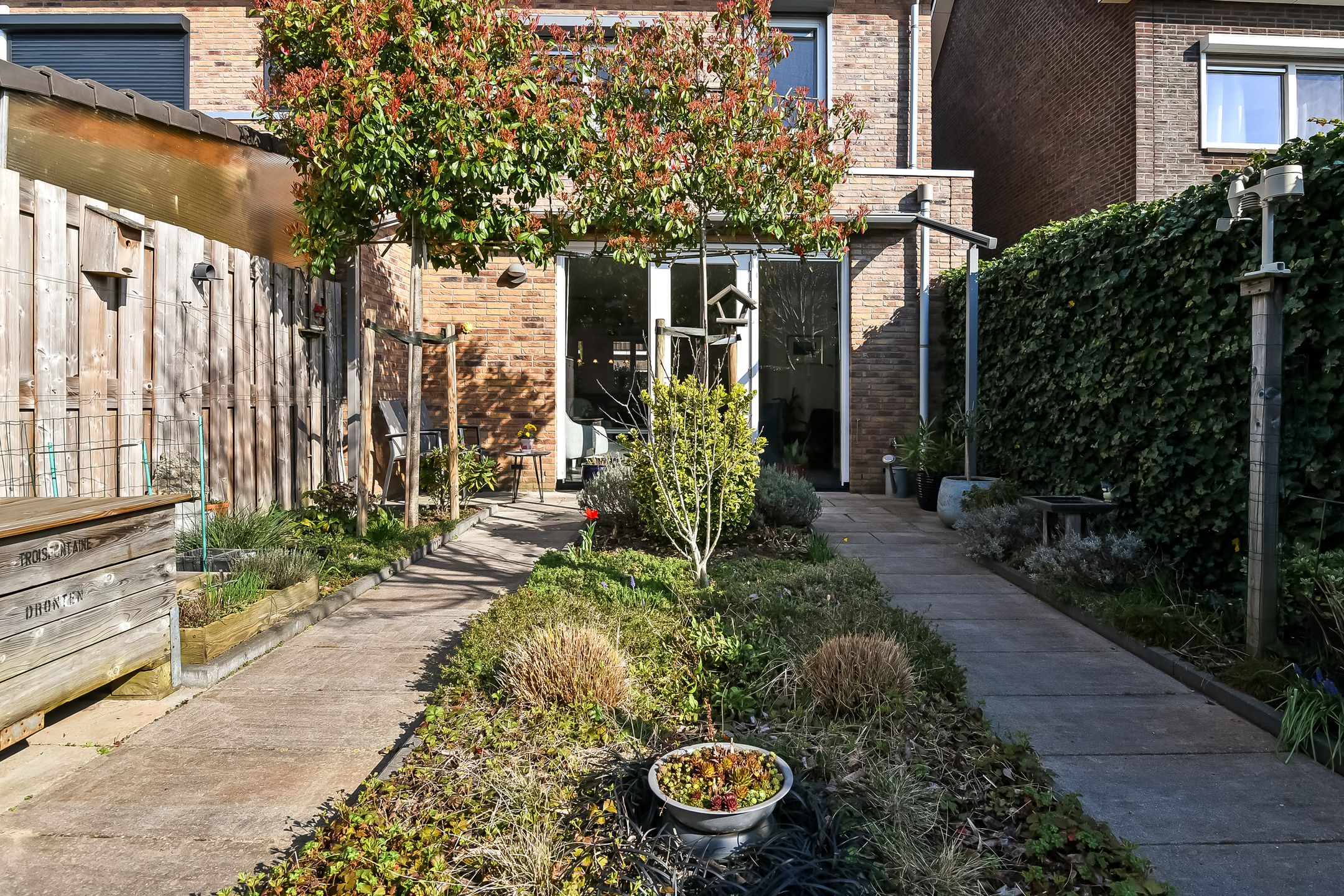 Foto 39 van Buurmeester 14