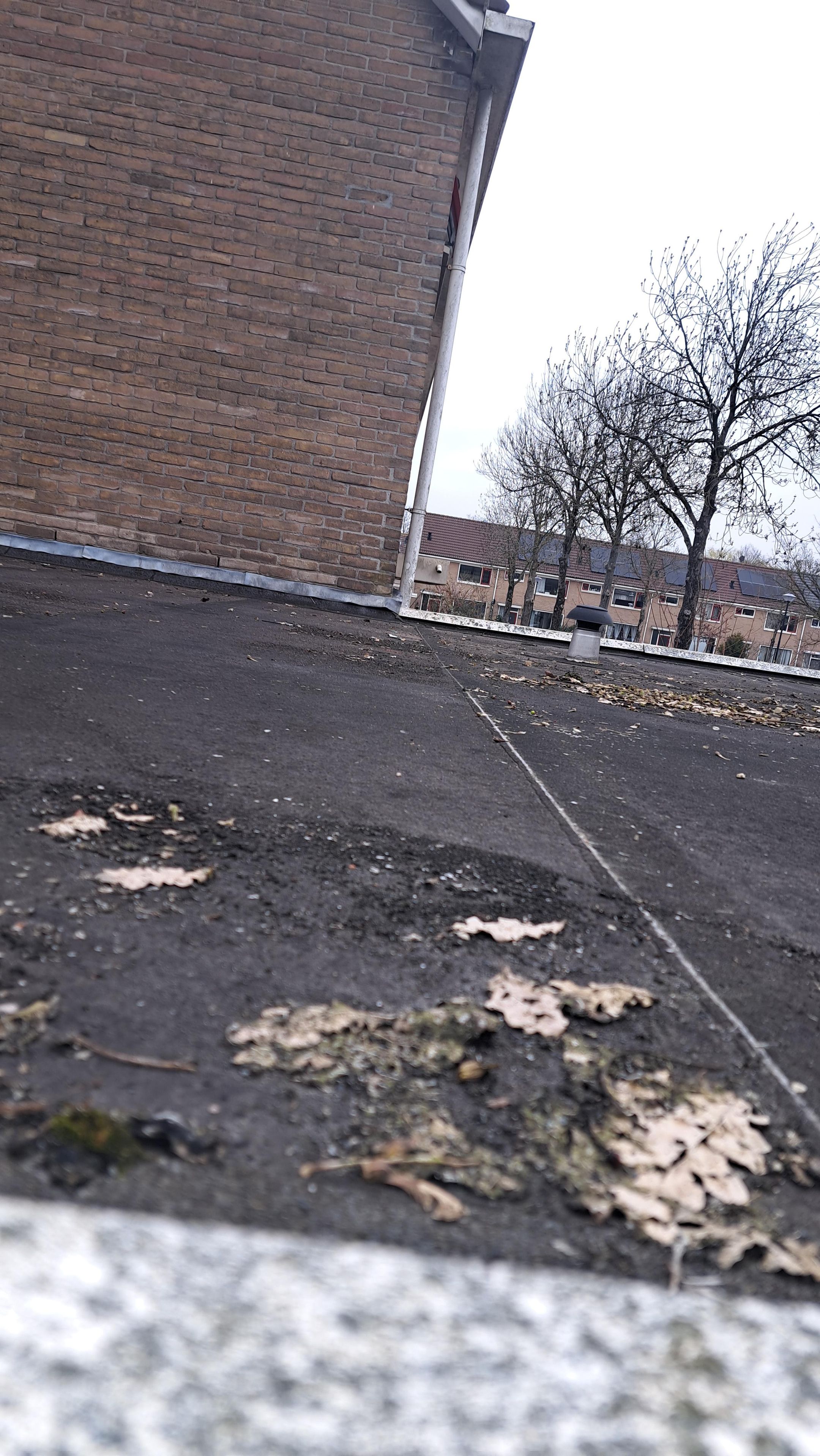 Foto 9 van Rudbeckialaan 53