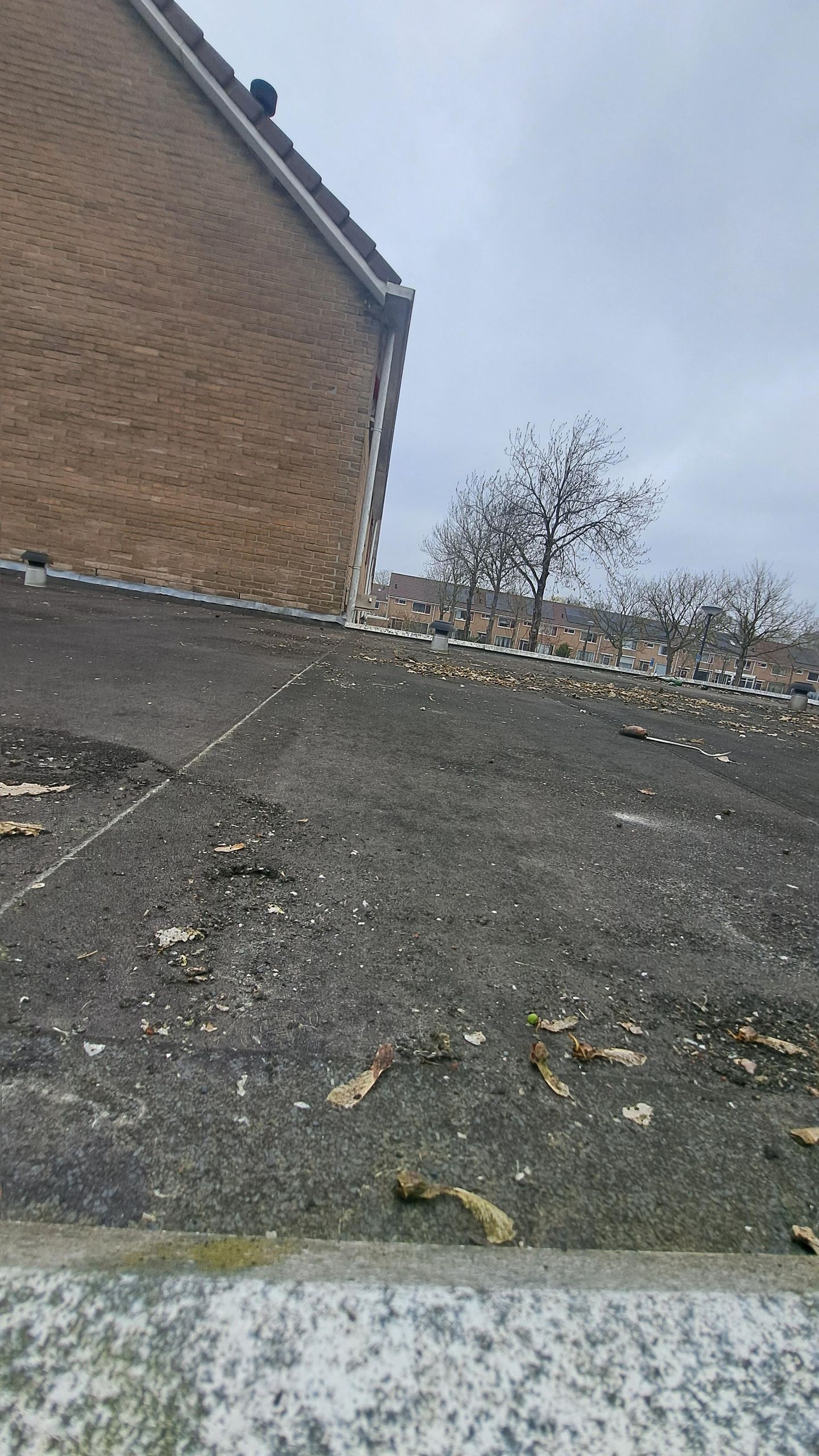 Foto 10 van Rudbeckialaan 53