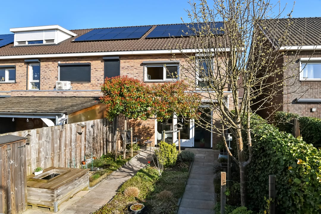 Foto 2 van Buurmeester 14