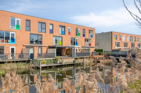 Kikkerbeet thumbnail