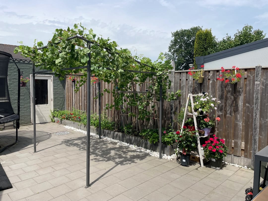 Photo 31 of Palmstraat 20