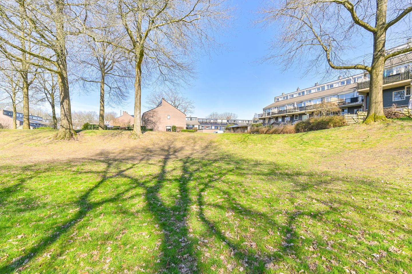 Foto 64 van Ruinerbrink 127