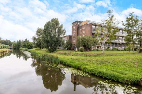 Jan Nieuwenhuyzenstraat thumbnail