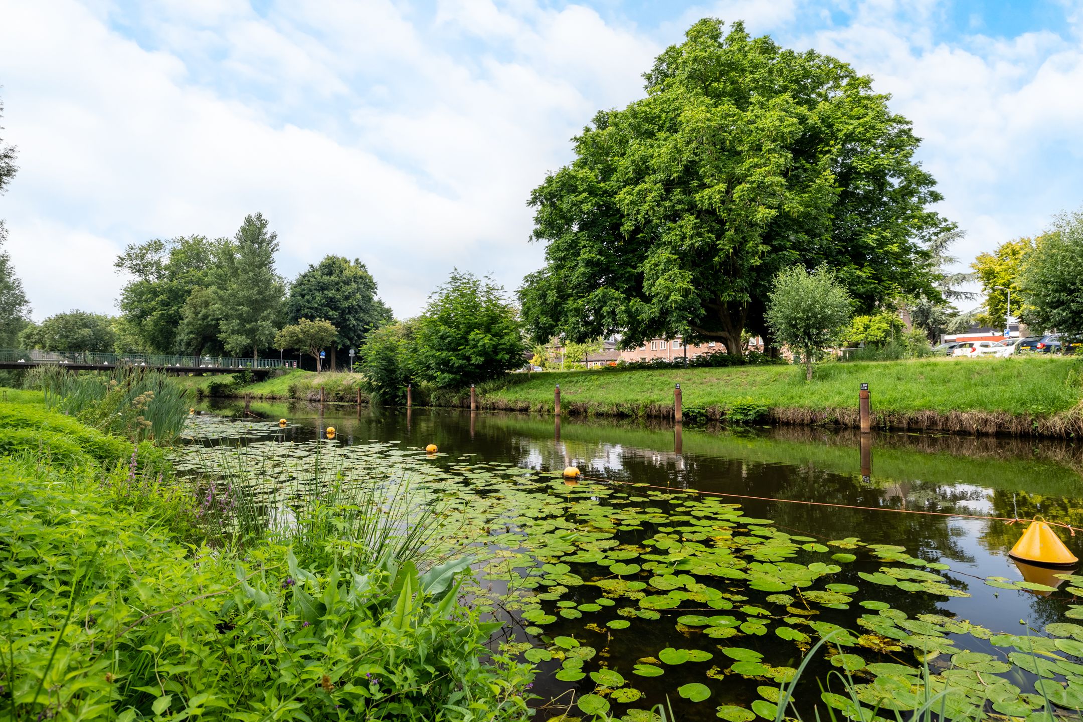 Foto 48 van Jan Nieuwenhuyzenstraat 36