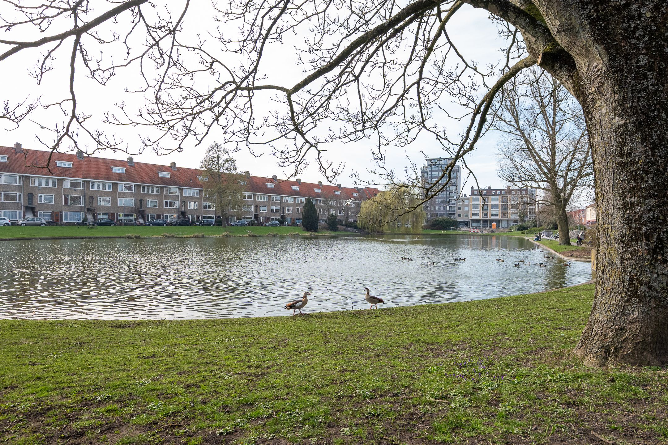 Foto 39 van Korreweg 139