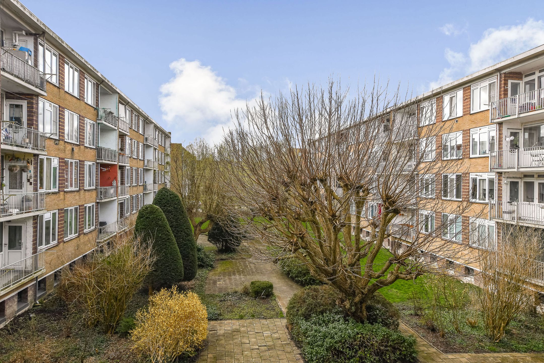 Foto 15 van Sportparklaan 235