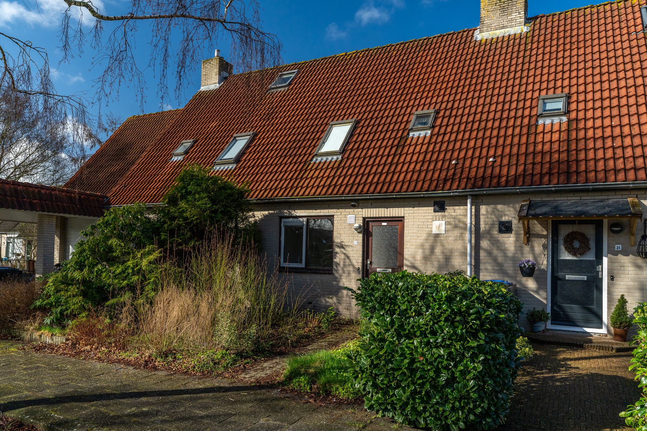 Foto 6 van Hanckemastins 29