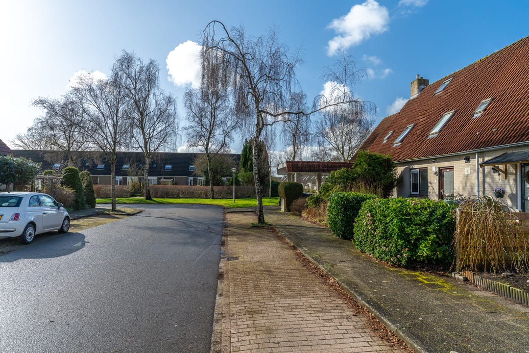 Foto 7 van Hanckemastins 29