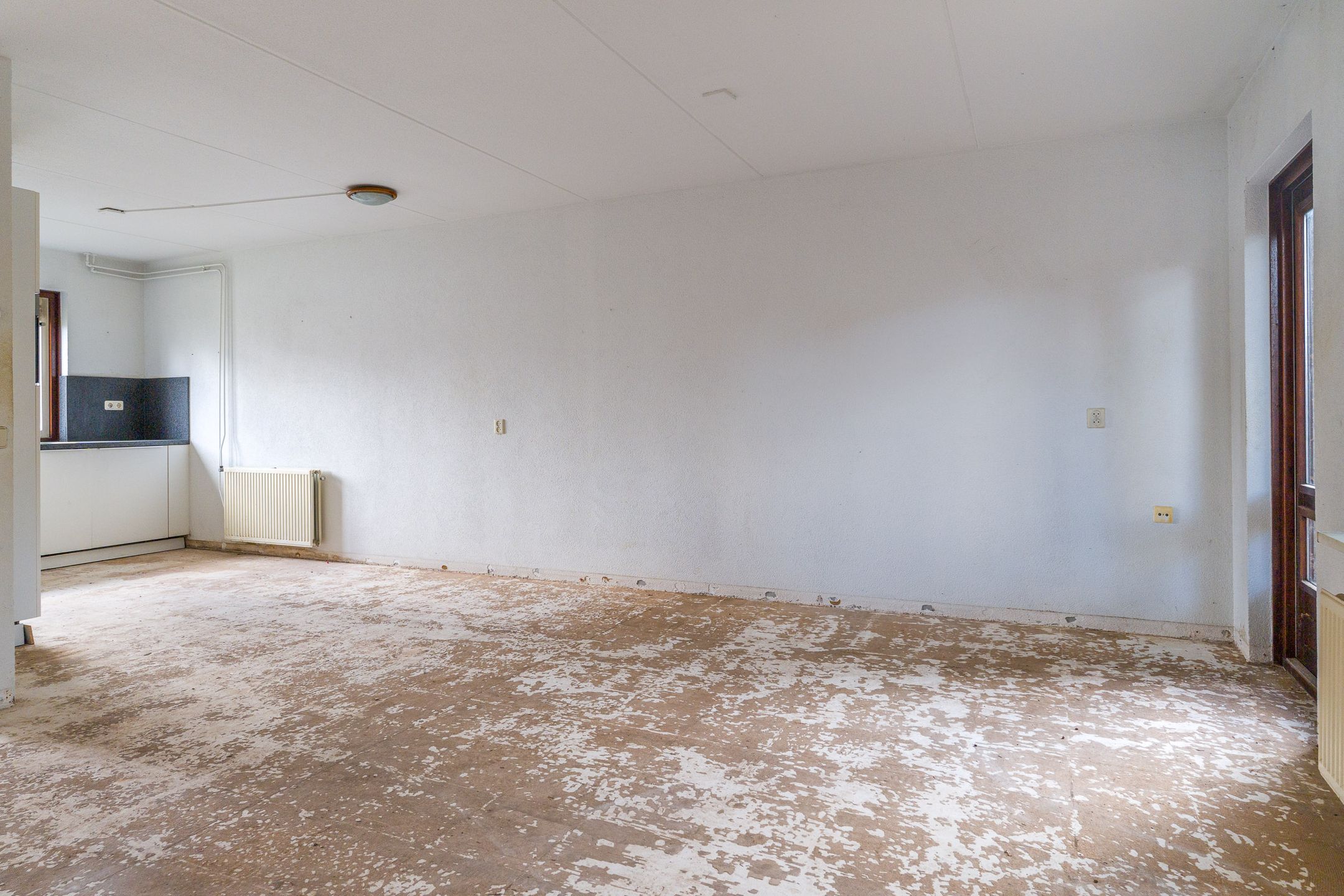 Foto 12 van Hanckemastins 29