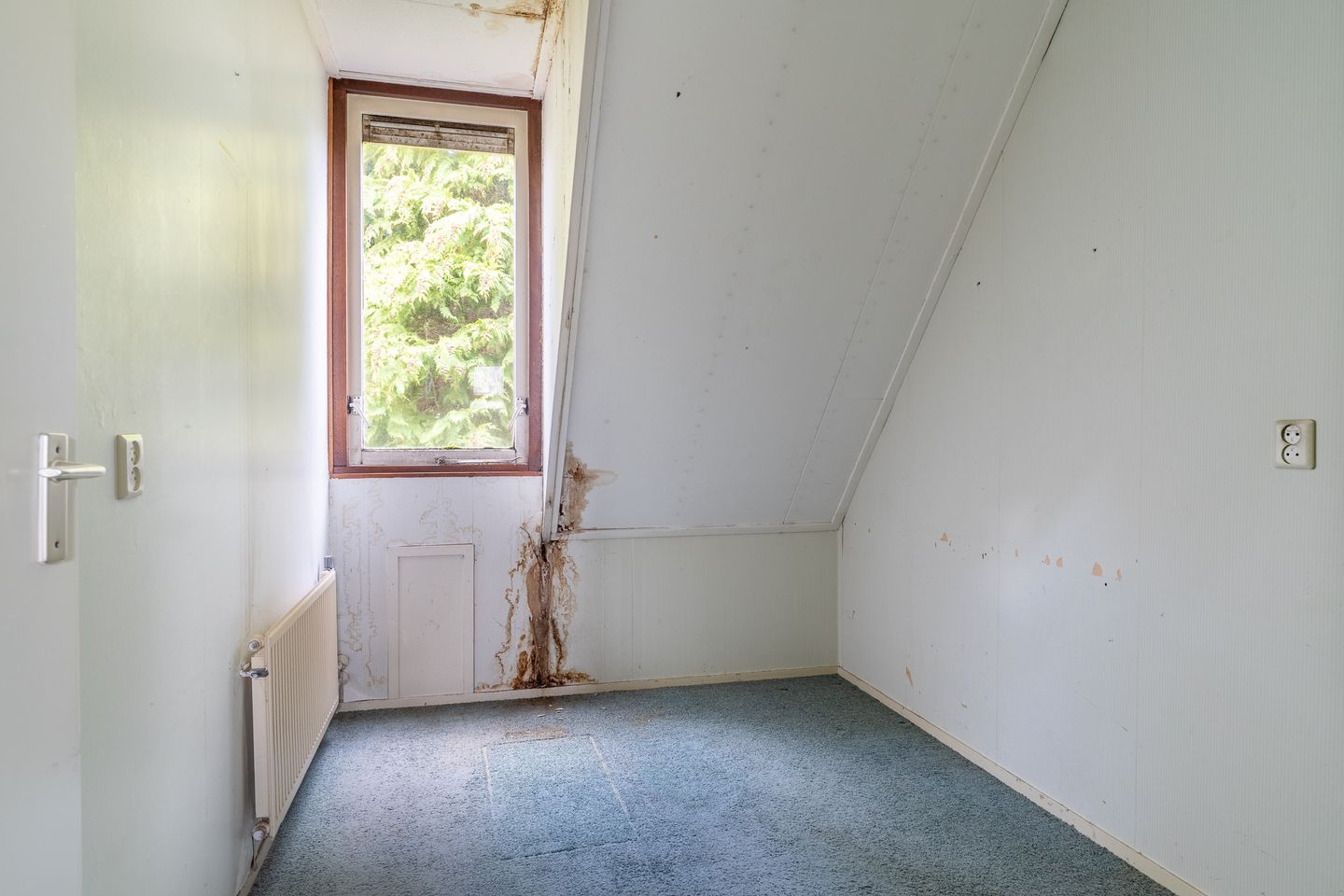 Foto 20 van Hanckemastins 29