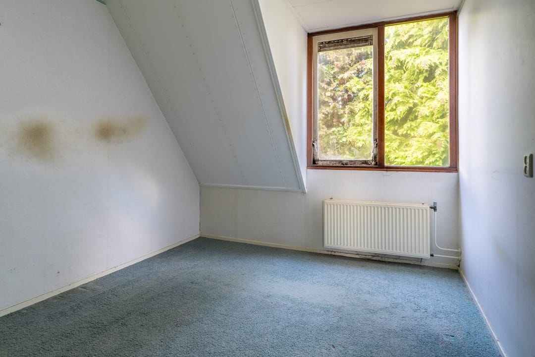 Foto 16 van Hanckemastins 29