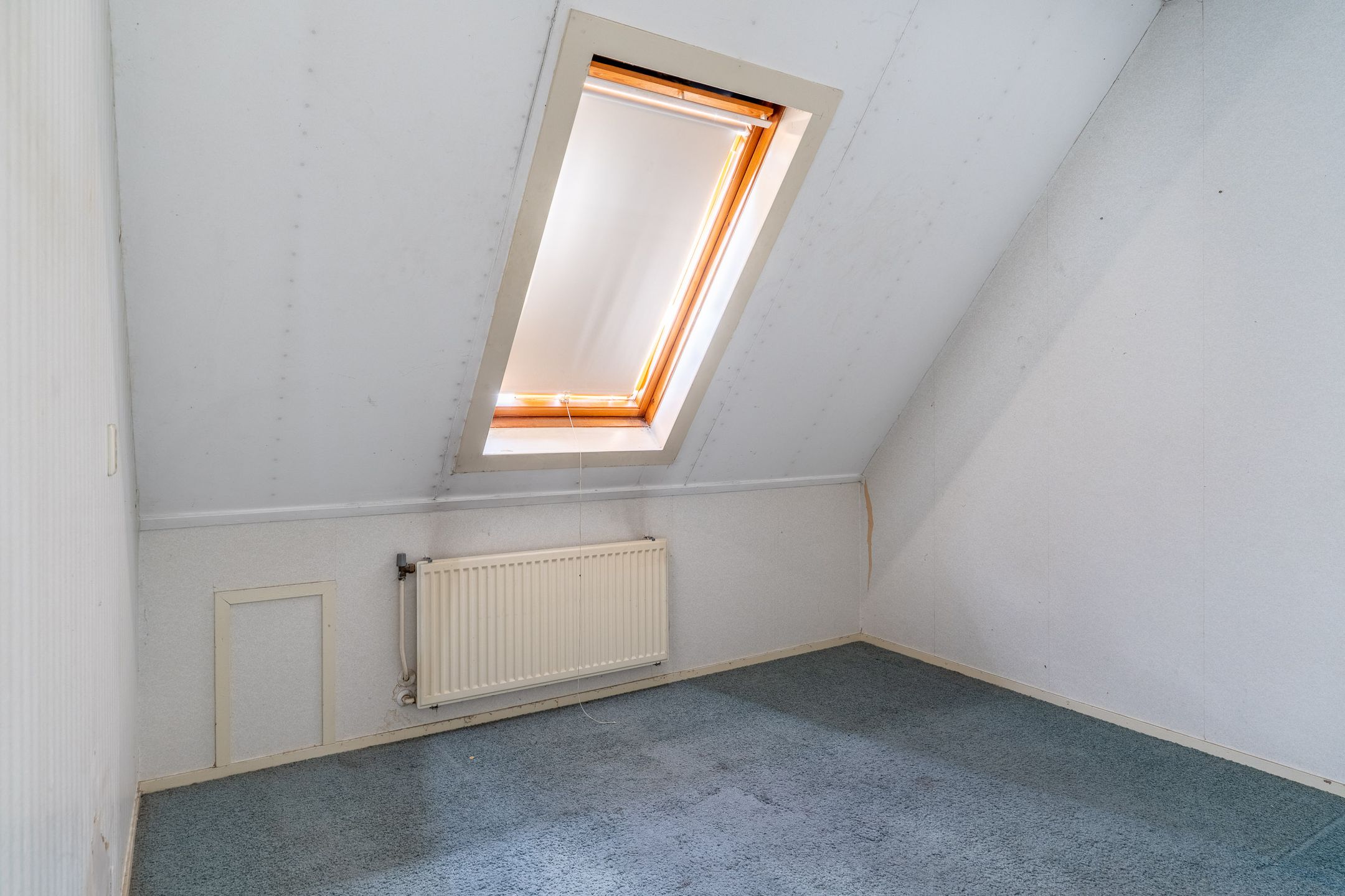 Foto 18 van Hanckemastins 29