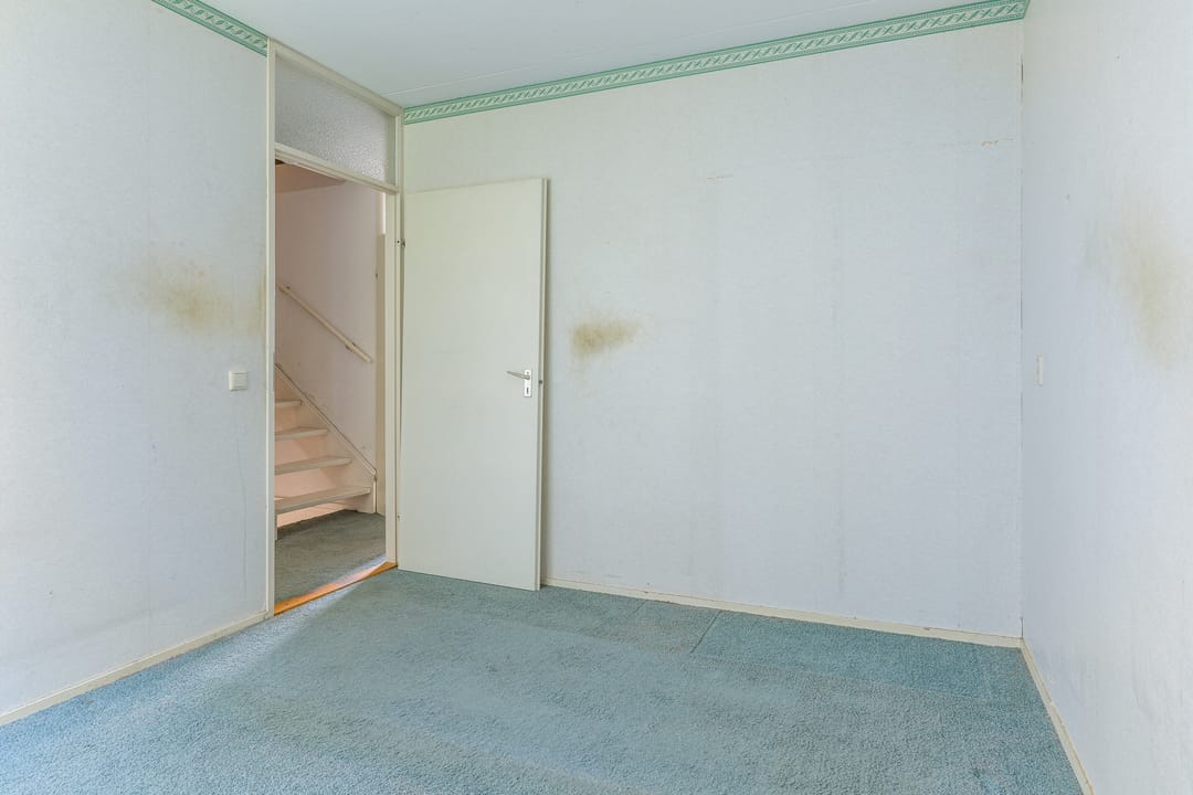 Foto 17 van Hanckemastins 29