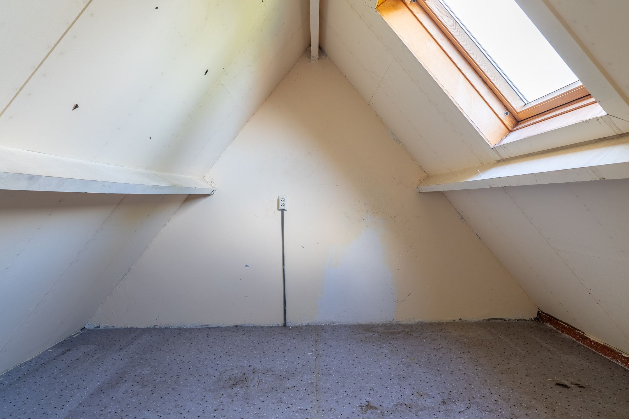 Foto 24 van Hanckemastins 29