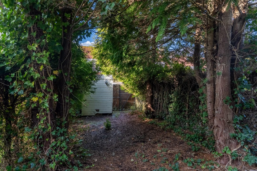 Foto 26 van Hanckemastins 29