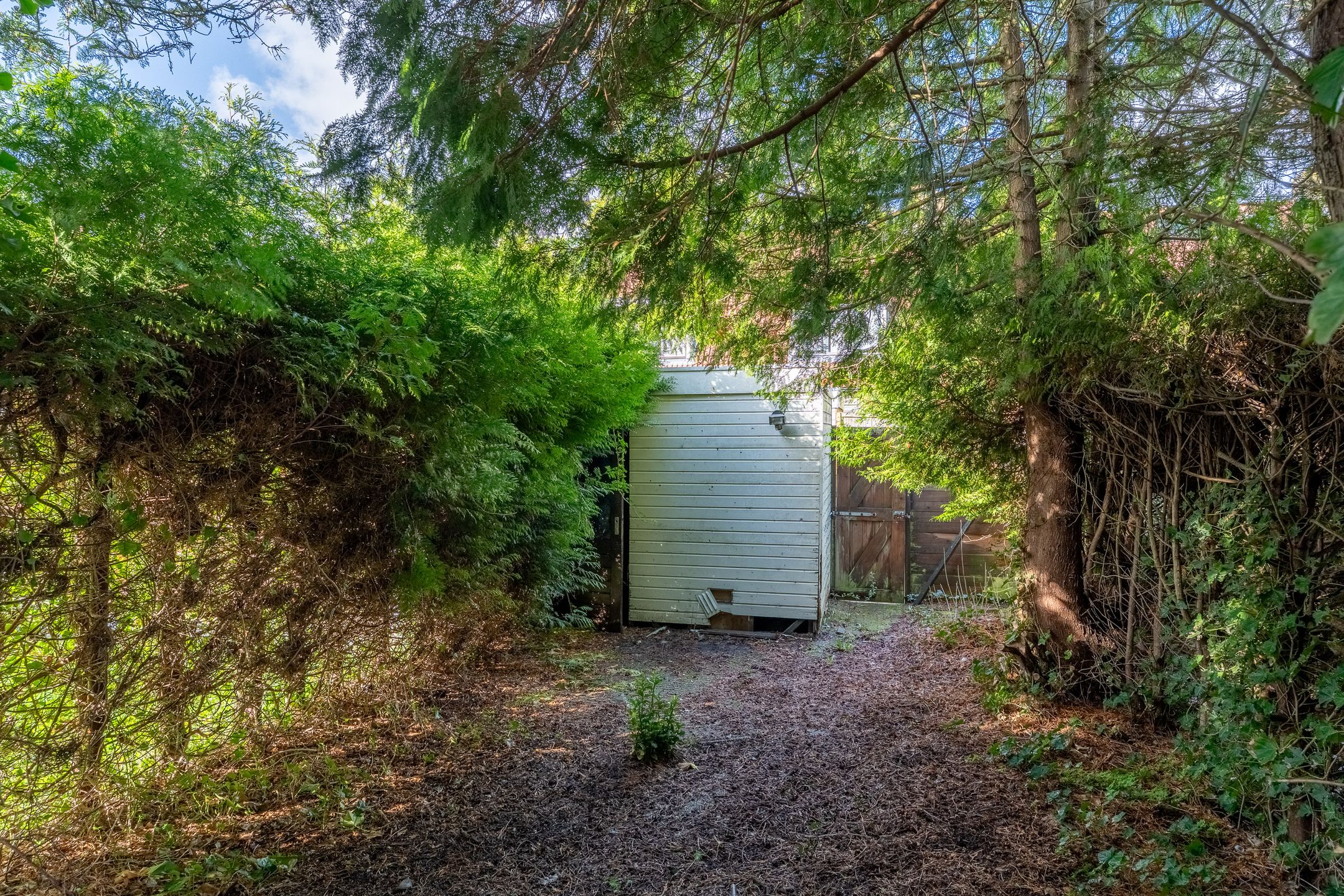 Foto 27 van Hanckemastins 29