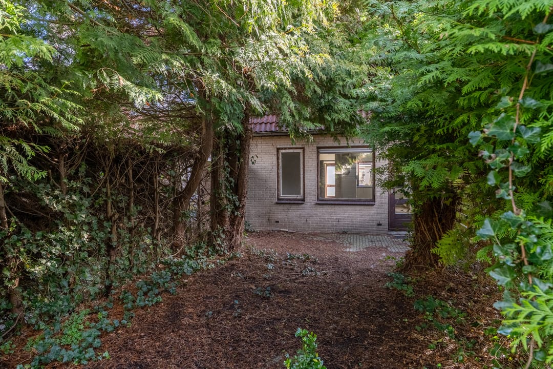 Foto 28 van Hanckemastins 29