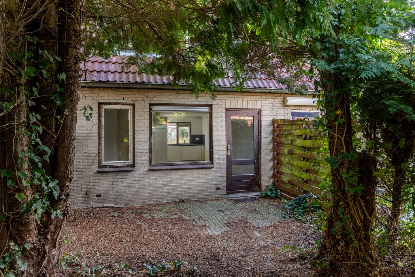 Foto 29 van Hanckemastins 29