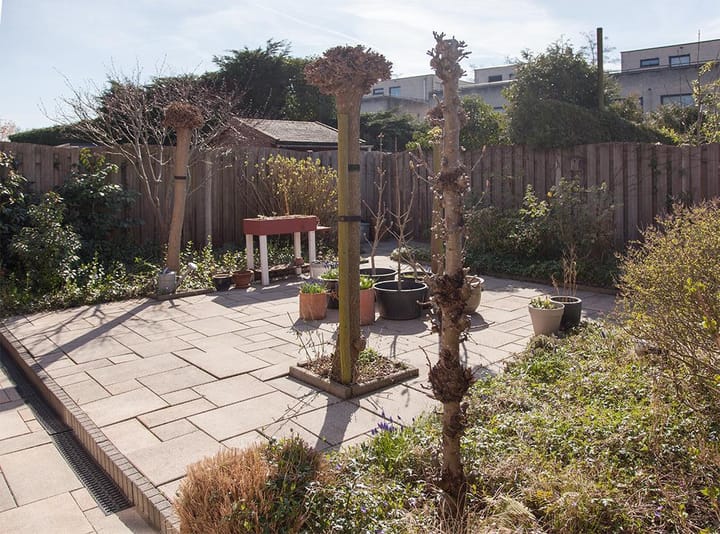 Photo 3 of Buitenhof 45