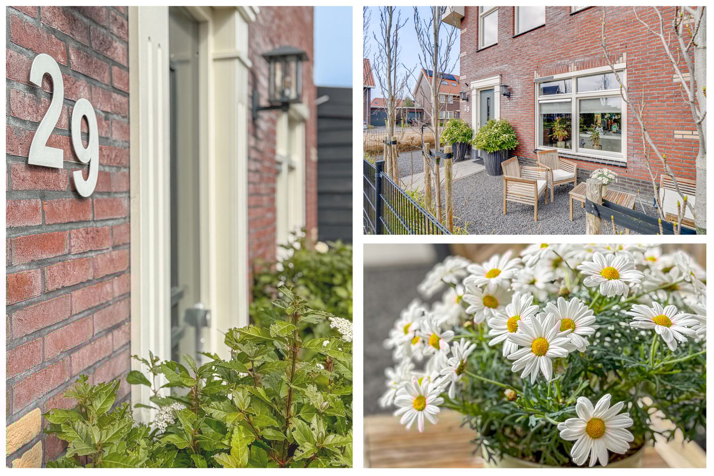 Foto 49 van Nova Zembla 29