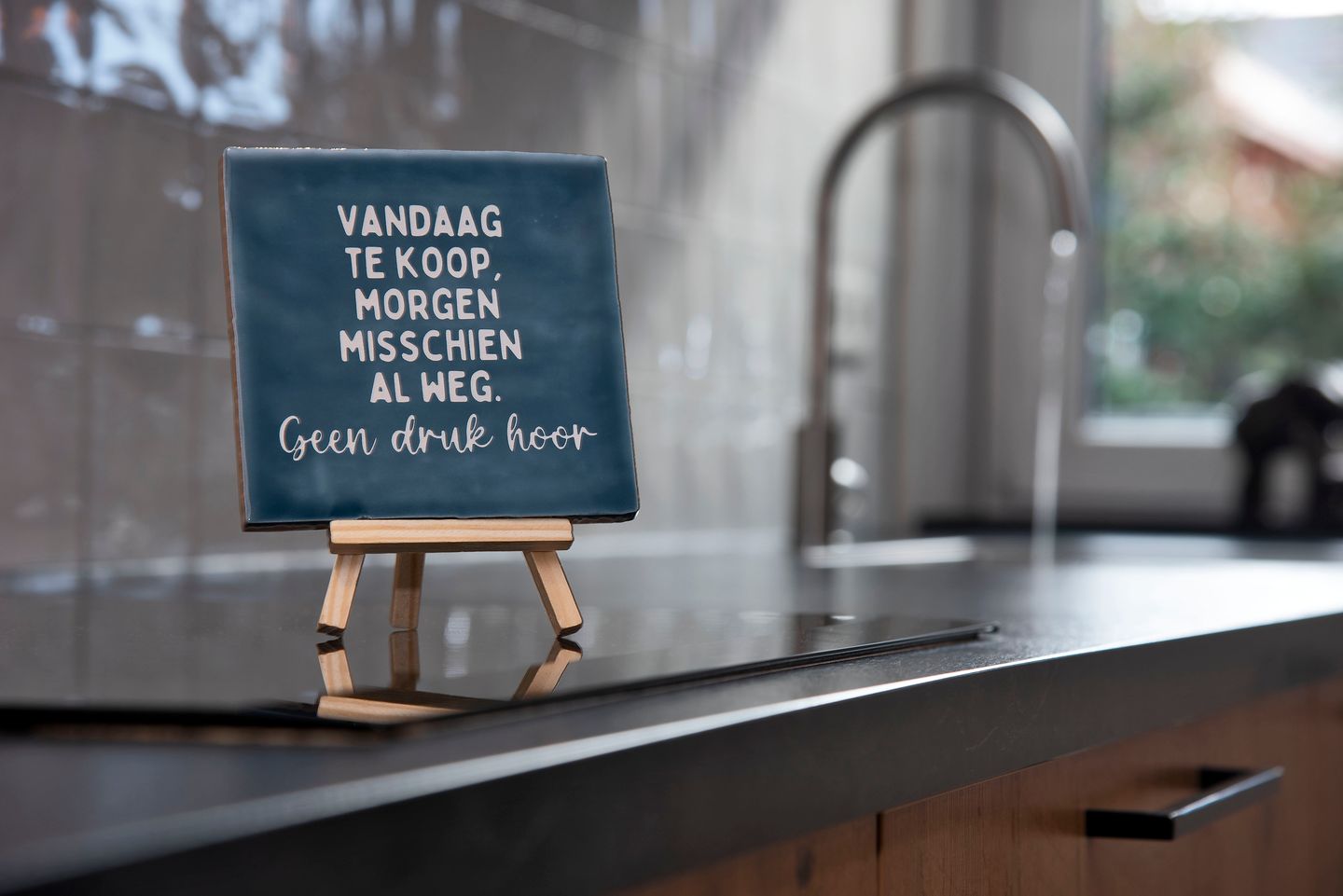 Foto 14 van Snakenborg 5