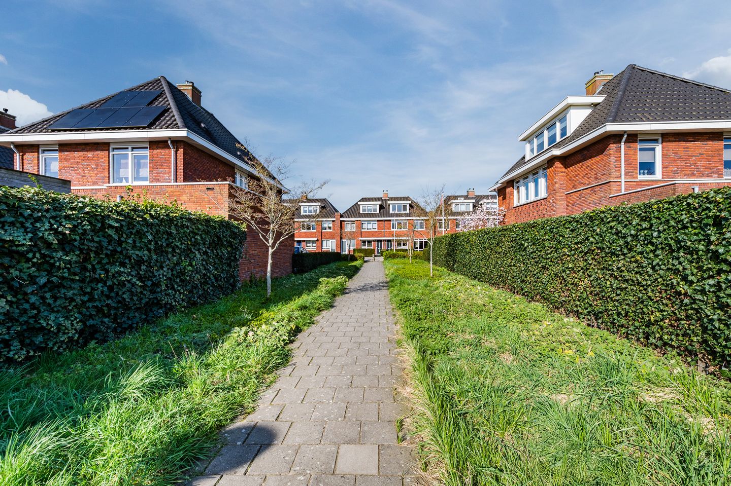 Foto 49 van Zaling 98