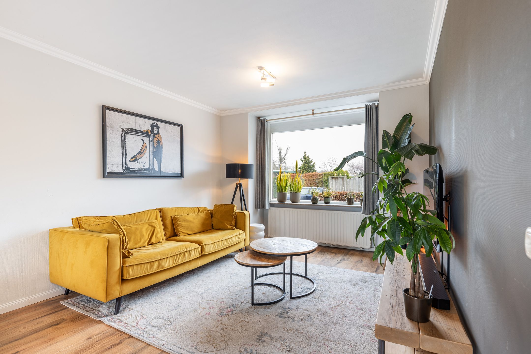 Foto 12 van Alexanderstraat 66