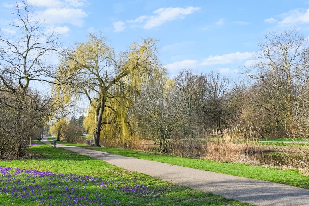 Photo 41 of Segbroeklaan 238