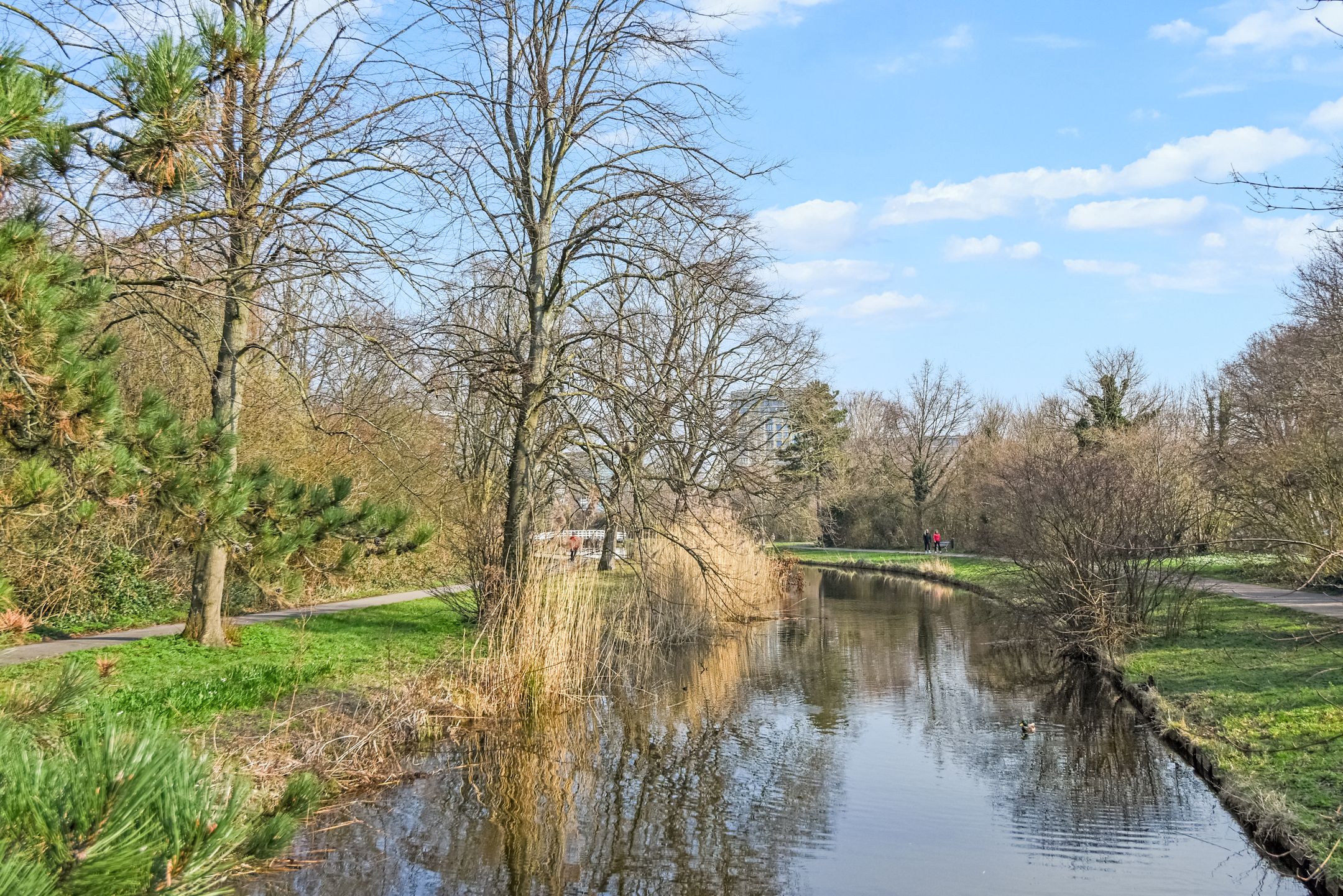 Photo 42 of Segbroeklaan 238