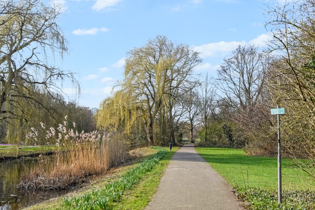 Photo 43 of Segbroeklaan 238