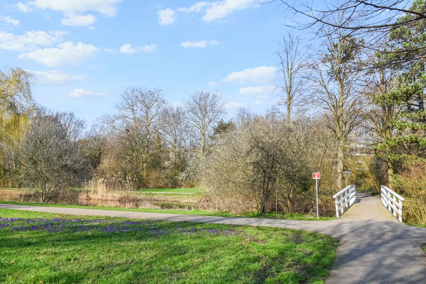 Photo 40 of Segbroeklaan 238