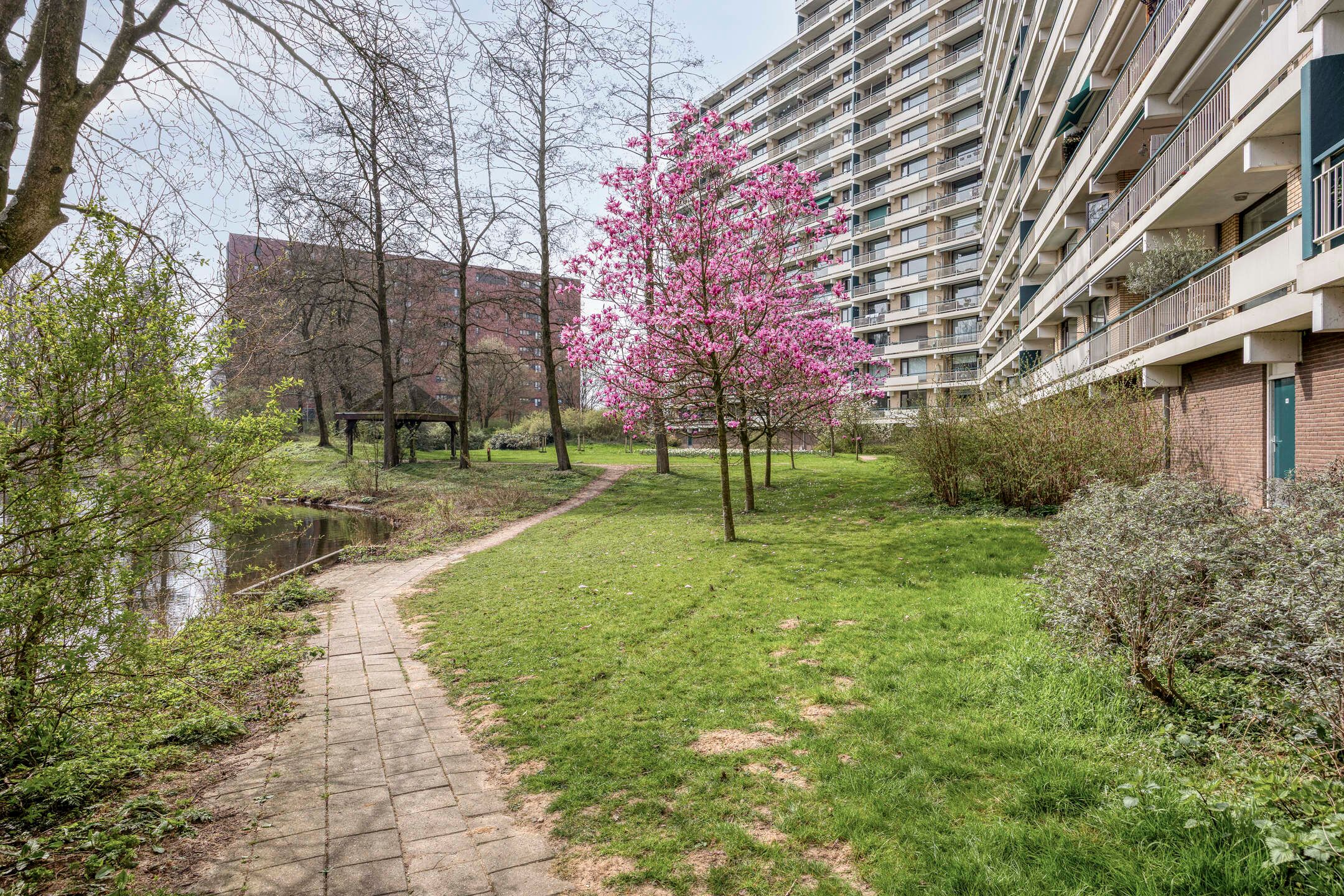 Foto 48 van Groningensingel 727