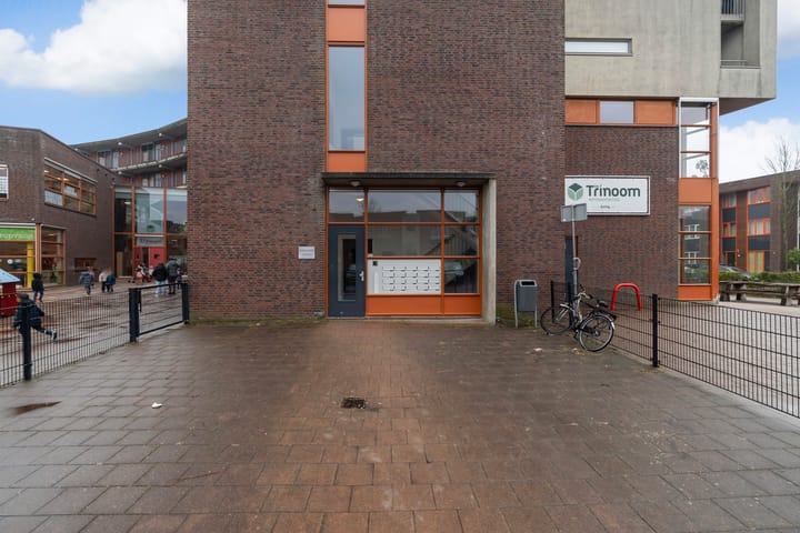 Photo 4 of Iepenwede 32