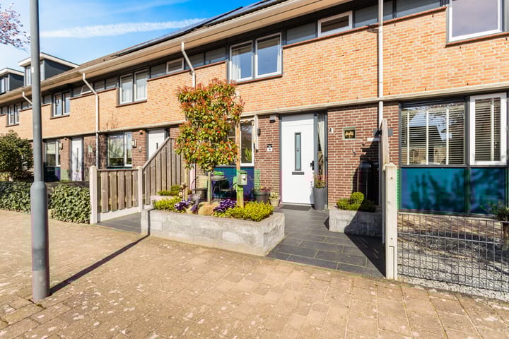 Foto 4 van De Putter 10