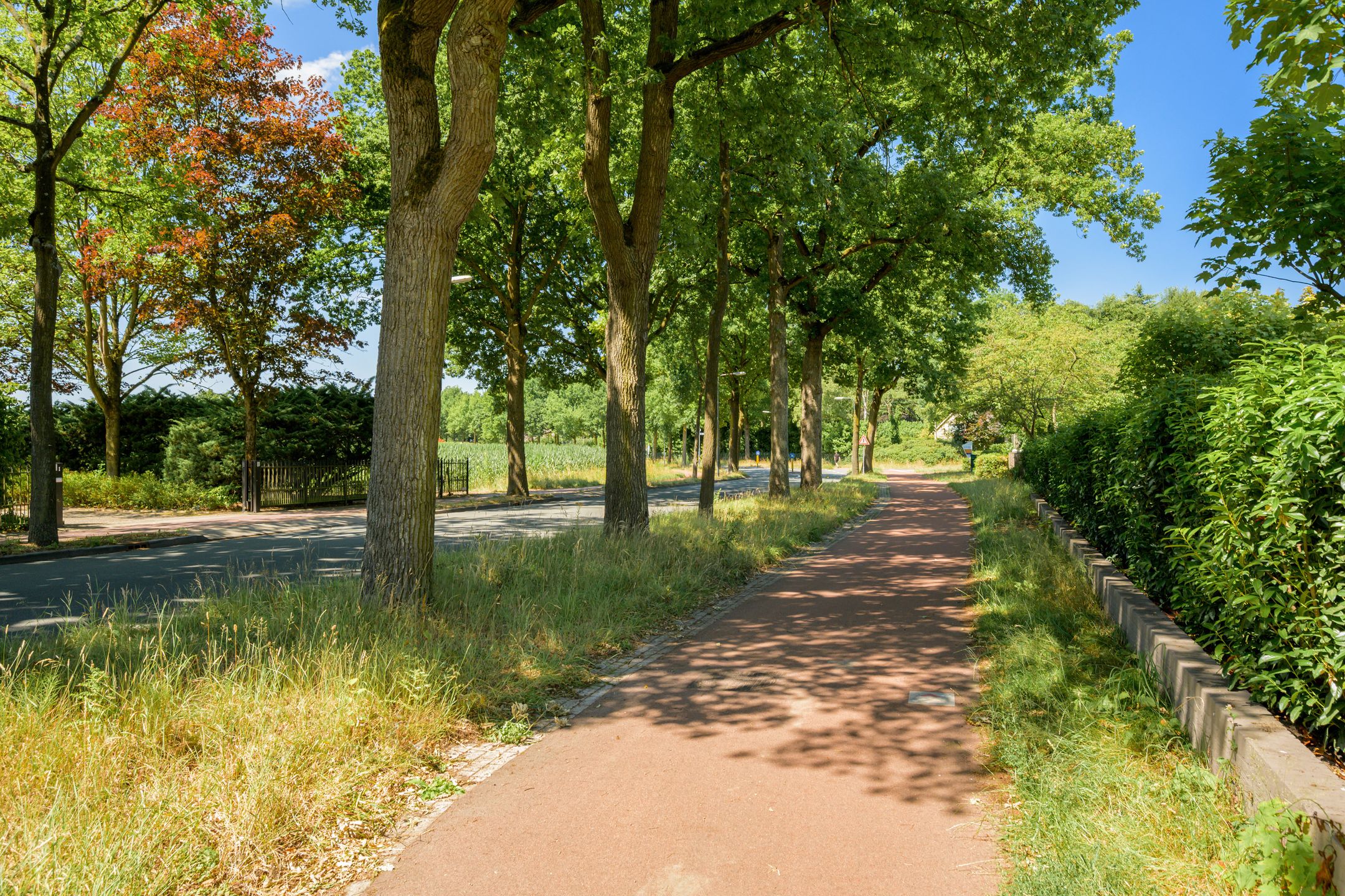 Foto 48 van Roosbergseweg 1