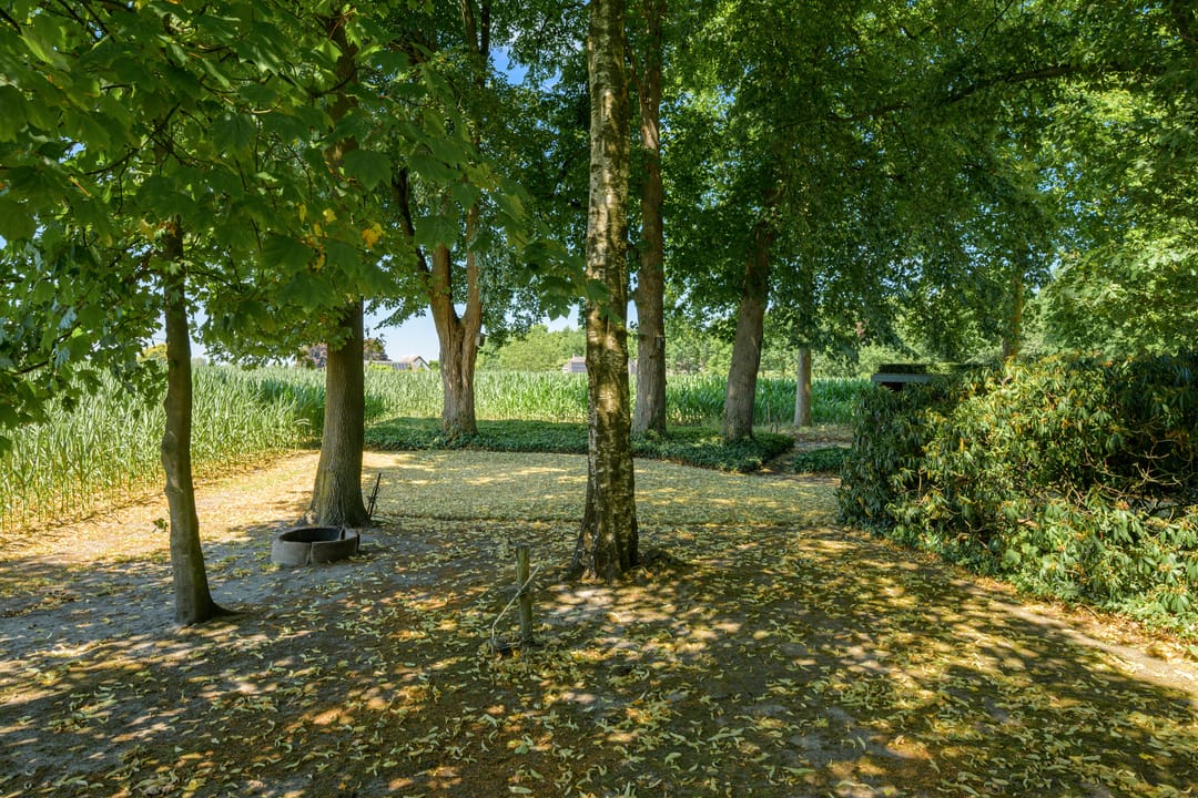 Foto 43 van Roosbergseweg 1