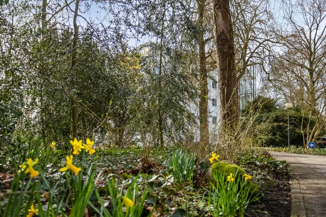 Foto 53 van Verlengde Hereweg 189-10