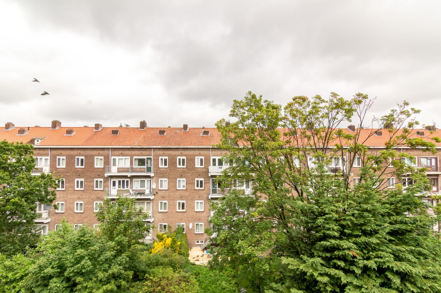 Foto 10 van Schiedamseweg 147-D