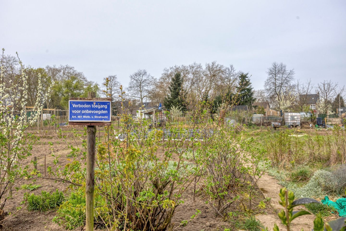 Photo 44 of Bredeweg 45