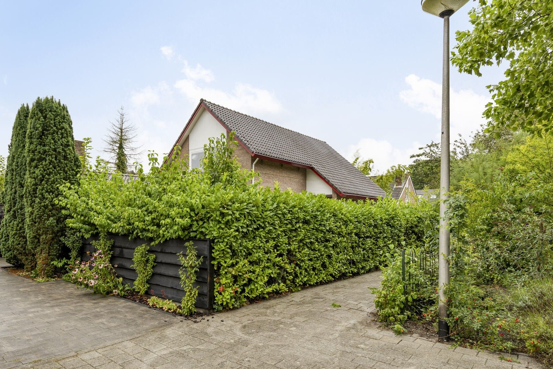 Foto 42 van Prins Johan Frisostraat 2