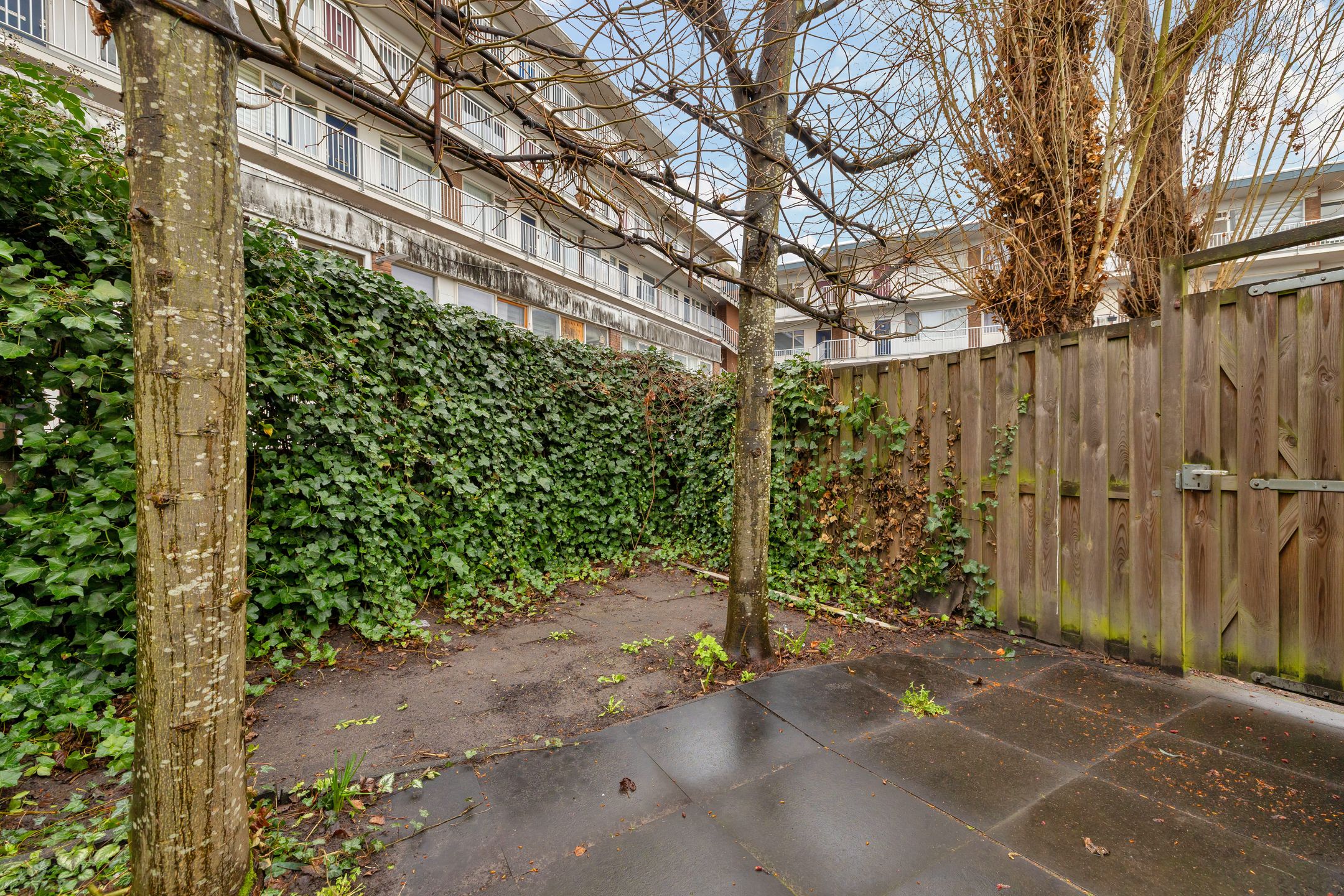 Foto 18 van Burgemeester Honnerlage Gretepad 10