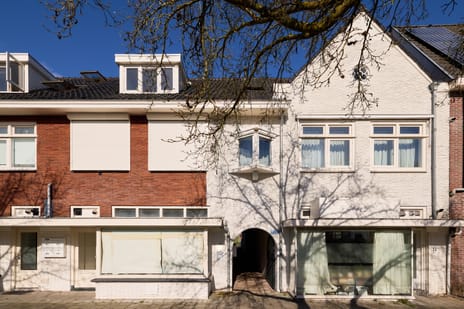 Koninginnelaan thumbnail